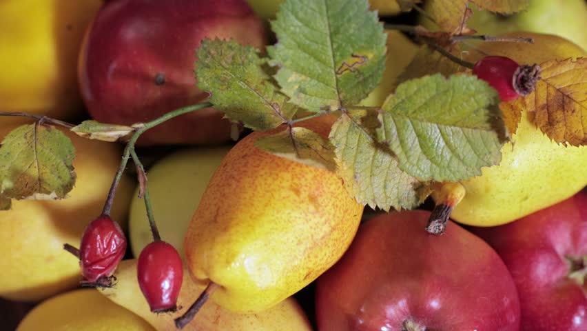 Beautiful bright autumn fruits apples, pears and rose hips close-up | Shutterstock HD Video #1101614119