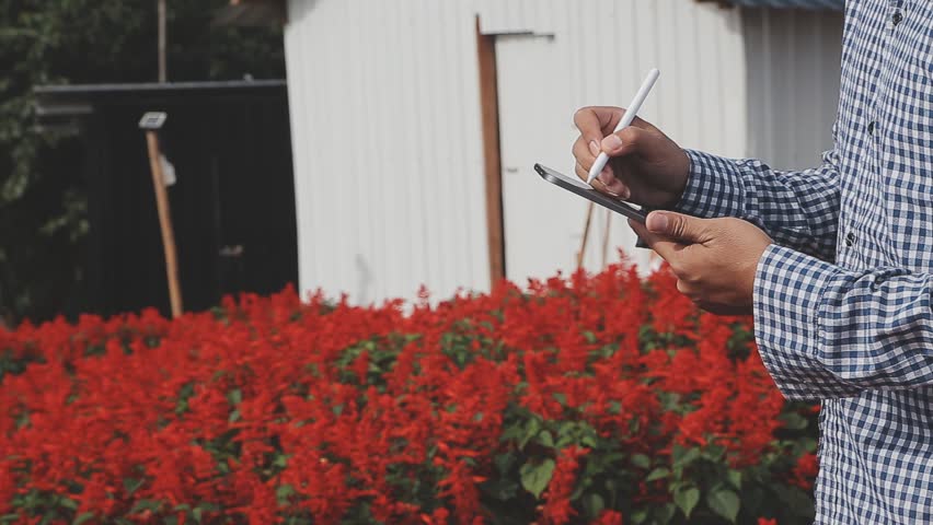Female farmer with laptop in field. young Asian famer adapt technology in the farm process by using laptop computer.