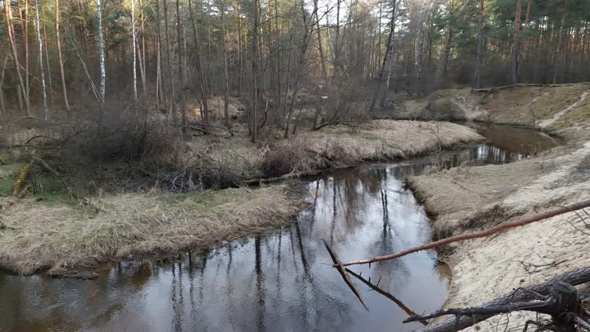 Canyon of wild mountain river with pure water. Calm nature scenery