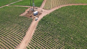 Rotating shot around a power pylon in the middle of a vineyard in Leyda Valley - Powered by Shutterstock - Get 15% off with code: PIKWIZARD15