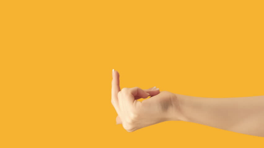 Shutterstock Video
