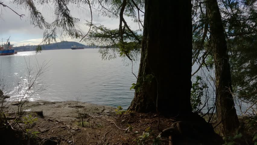 Scenic View on the Ocean Shore in Admiralty Point Park, Port Moody, British Columbia, Canada. Winter Season.