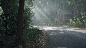 Atmospheric video in the morning, showing the road on which a motorcyclist rides