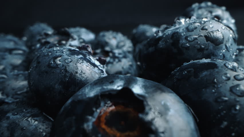 Fresh juicy blueberries in macro. Close up of bilberries. ProRes 4K
