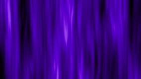 Purple Gradient Wavy Lines - Beautiful Slanting Animated Background, 4k Loop Motion Graphic