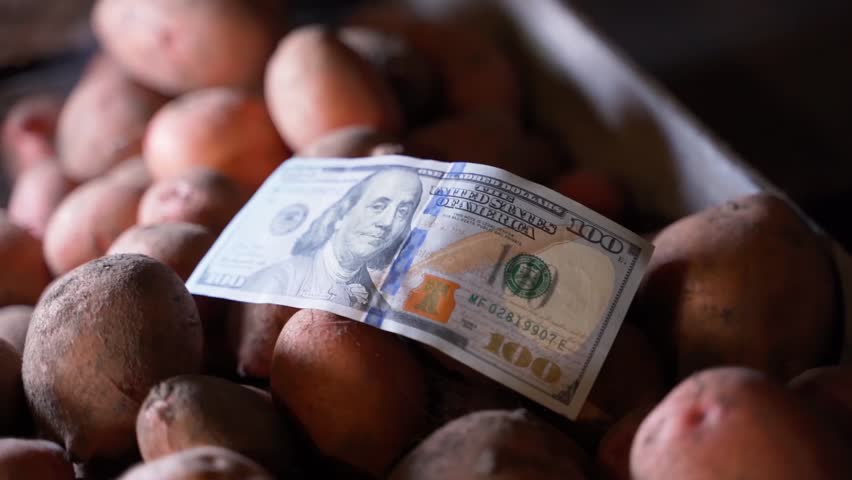 A hundred dollar bill lies on a potato close-up in the dark