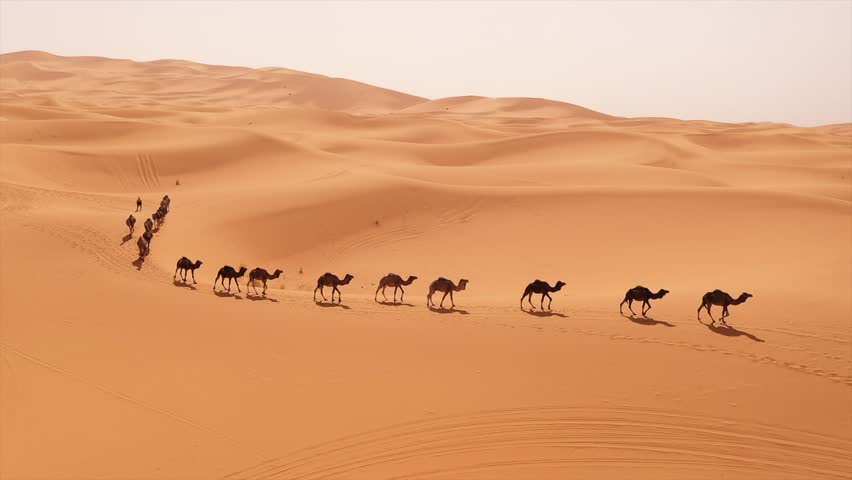 MERZOUGA DESERT SAHARA MOROCCO CAMELS Royalty-Free Stock Footage #1101657187