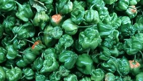 Chili green fresh. advertisement, Scotch bonnet video. business and other creaters. - Powered by Shutterstock - Get 15% off with code: PIKWIZARD15
