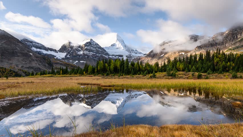 Time lapse scenery of Mount Assiniboine with pond reflection on golden meadow in autumn forest at Assiniboine provincial park, BC, Canada