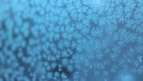 Rack Focus Of Frozen Snowflakes On Glass Wall.  - Powered by Shutterstock - Get 15% off with code: PIKWIZARD15