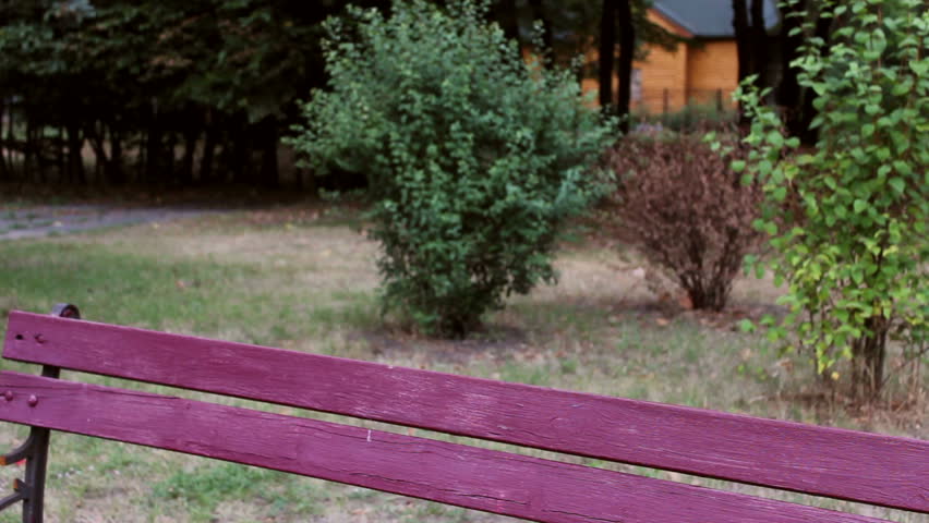 woman sitting on a bench at park