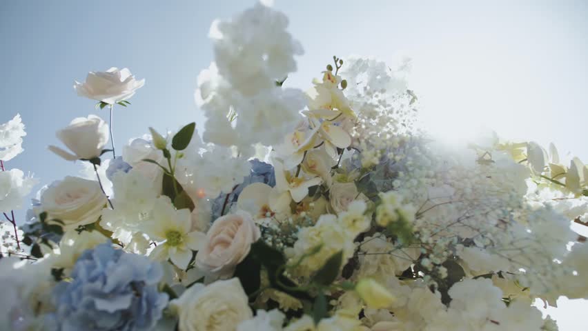  Close-up of wedding arch decorated with flowers, roses, chrysanthemums in white and blue colors, sun rays shine between the flowers slow motion, outside wedding ceremony. Royalty-Free Stock Footage #1101678727