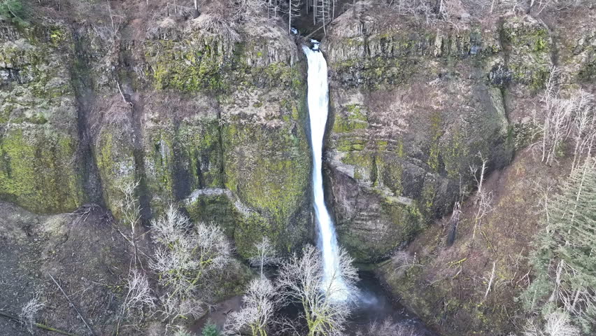 The beautiful Horsetail Falls is located on the Oregon side of the Columbia River Gorge. This magnificent natural wonder, along with many other waterfalls, is just a 30 minute drive east of Portland.