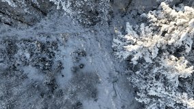 Aerial footage of slow camera movements from winter landscape with fir tree covered with snow to windmils on the background. Pine trees covered with snow and windmills in a snow winter landscape.  - Powered by Shutterstock - Get 15% off with code: PIKWIZARD15