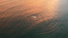 Aerial view from above on the beautiful surface of the sea and waves at sunset. Ocean coast. Calm beautiful video on the background for tourism, design and advertising