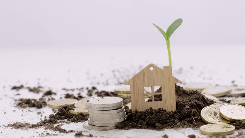 Small house, coins and seedling in the soil in the background. | Shutterstock HD Video #1101723949