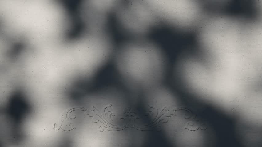 Closeup branch tree leaves silhouette shadow motion on wall with floral ornament | Shutterstock HD Video #1101730897
