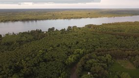 River crossing Amazon forest. Aerial drone panoramic view at sunset