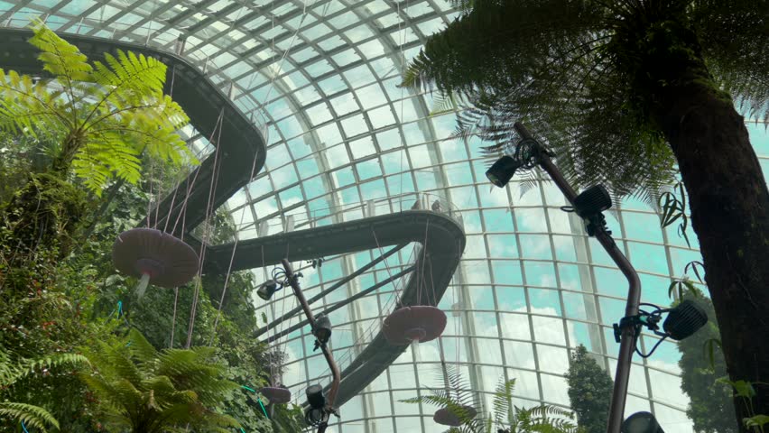 Wide shot panning forest Gardens by the Bay Singapore