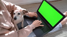 Woman using laptop with chroma key green screen petting small cute dog. Typing searching buying online pet goods. Casual clothes pink hoodie and jeans. bare feet, relaxed home freelance atmosphere