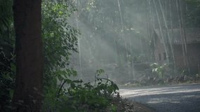 A video of the morning atmosphere, filmed with a car driving along the road.