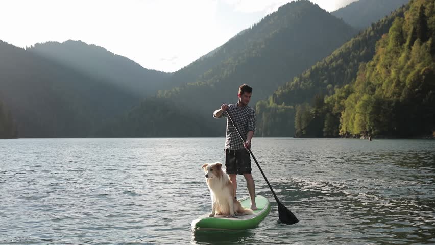 A man supping with his dog border collie on a lake in the mountains on SUP board in the sunlight. Playing sports with a dog, training dogs, socialization Royalty-Free Stock Footage #1101739751