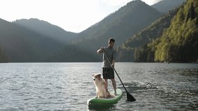 A man supping with his dog border collie on a lake in the mountains on SUP board in the sunlight. Playing sports with a dog, training dogs, socialization - Powered by Shutterstock - Get 15% off with code: PIKWIZARD15