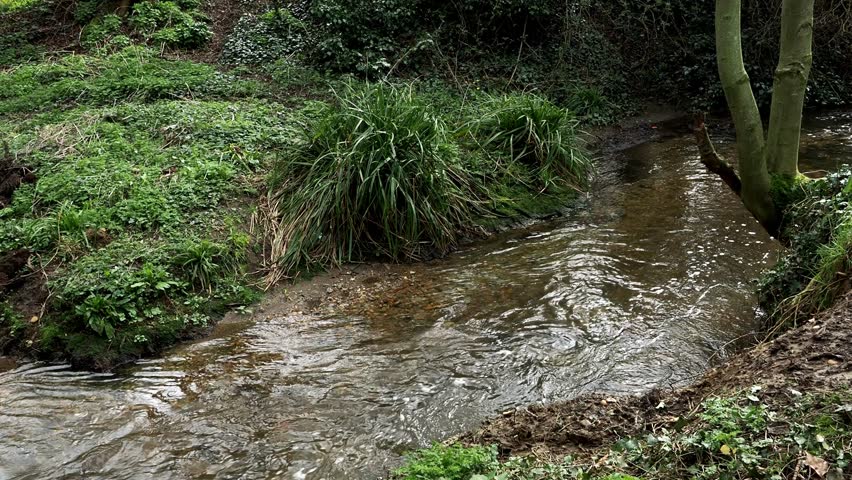 A footage of a stream flowing through Knighton Park Wigston, Leicestershire, UK.