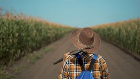 farmer's daily journey through cornfields at sunset. agriculture concept. farmer takes care of his crops in green fields at sunset. Land cultivation, the importance of agriculture in our modern world - Powered by Shutterstock - Get 15% off with code: PIKWIZARD15
