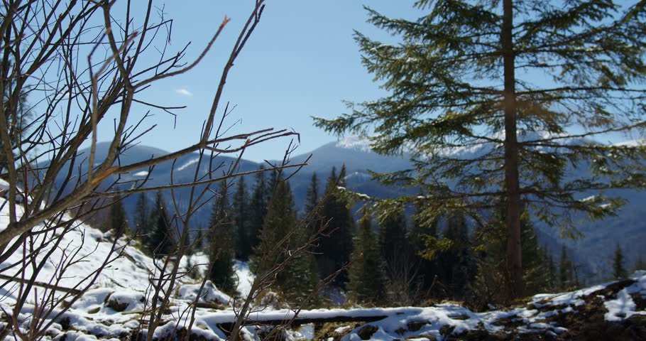 girl tourist mountaineer walks in the mountains and crosses a small bridge crossing on the background of snow-capped mountain peaks in winter. a woman crosses the bridge near the Christmas tree.