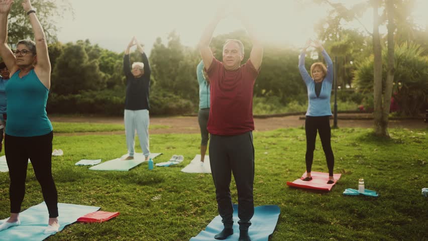Senior people doing workout activity in a public park - Health elderly people lifestyle | Shutterstock HD Video #1101744949
