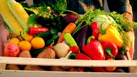 Vegetables in the hands of a man in the garden. Selective focus. Food. - Powered by Shutterstock - Get 15% off with code: PIKWIZARD15