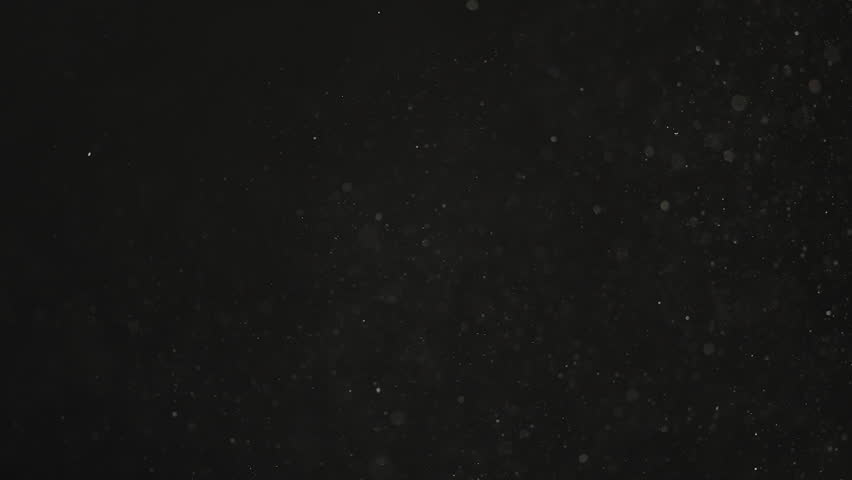 Slow motion real dust particles floating in the air with natural sunlight over black background
