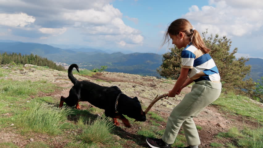 Girl plays with stick with dog-Rottweiler on cliff of mountain in valley of Rhodope Mountains