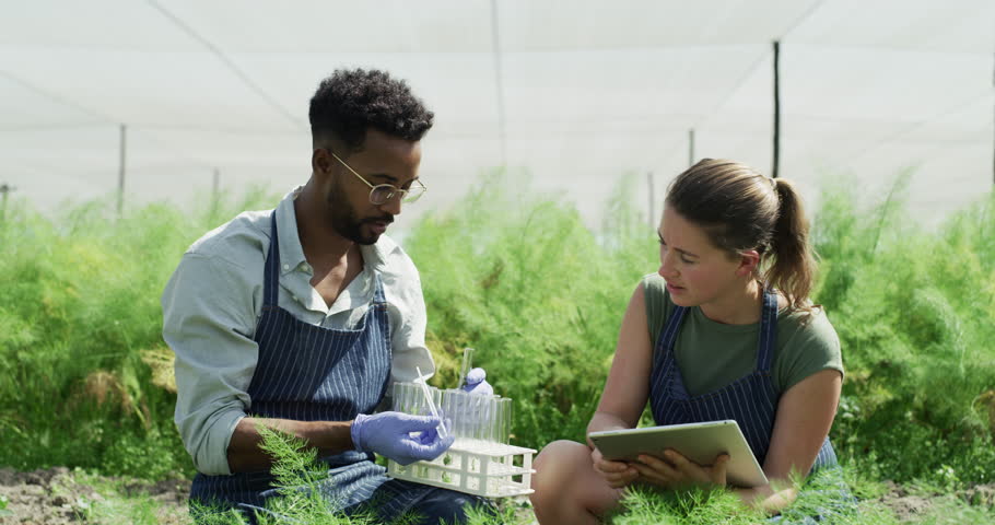 Ecology greenhouse, tablet and team with test tube research plant growth, agriculture environment or farm sustainability. Collaboration, teamwork and diversity black man and woman study eco field