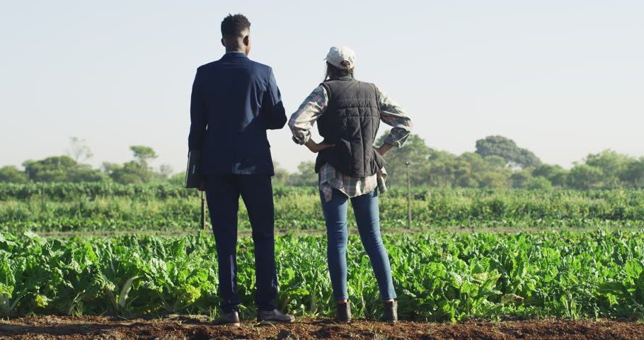 Business, farmer and businessman talk in field, investment in sustainability in farming. Growth, development and advisory service for agriculture, insurance for sustainable harvest in climate change. Royalty-Free Stock Footage #1101772043