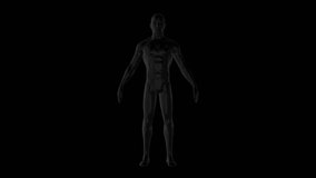 3D man black body model consisting rotates its axis 30 FPS. Alpha channelScience concept, object made of molecules. Tutorial Video. Abstract bg for logo, title, concept, presentation. 3D animation.