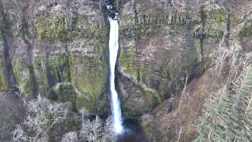 The gorgeous Horsetail Falls is located on the Oregon side of the Columbia River Gorge. This magnificent natural wonder, along with many other waterfalls, is just a 30 minute drive east of Portland.