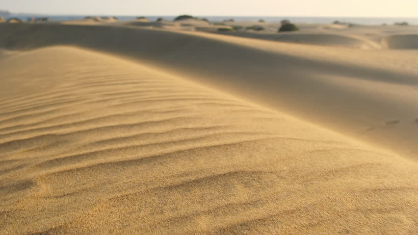 Close-up view of sand dunes in a desert, with intricate patterns carved into the sand by the wind. Raw and natural beauty of the desert landscape, with no human presence in sight. Steadicam footage Royalty-Free Stock Footage #1101785937