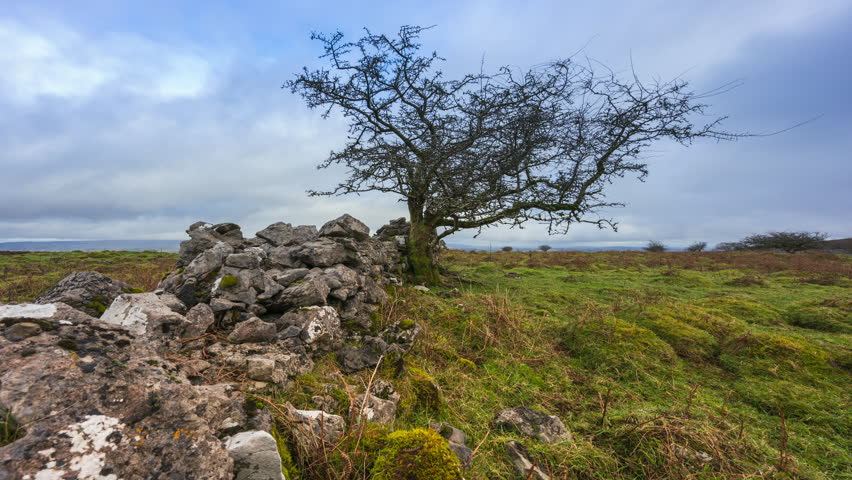 Timelapse of rural nature farmland with tree and stonewall in the foreground during cloudy day viewed from Carrowkeel in county Sligo in Ireland.