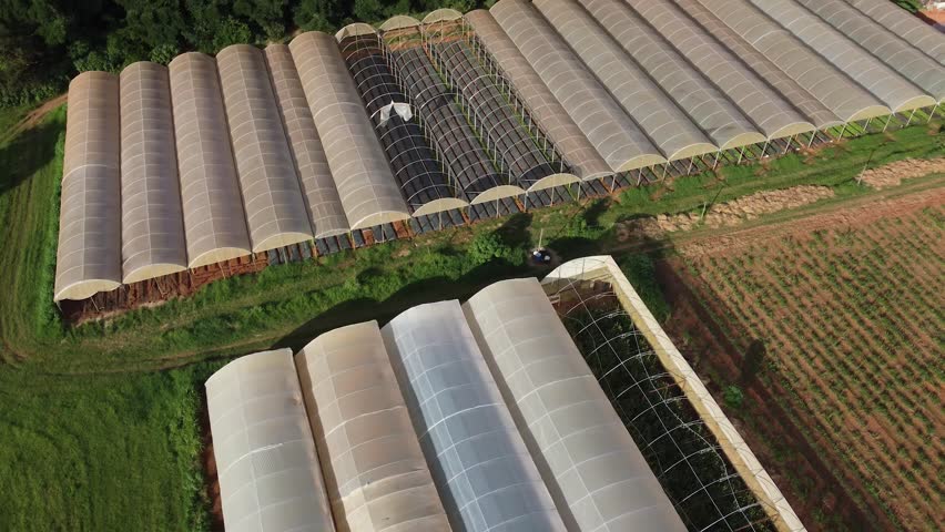 Greenhouse cultivation, organic vegetables, sustainable agriculture, aerial views, high-tech farming, innovative agriculture, greenhouse technology, fresh produce, healthy eating, family farming, subs Royalty-Free Stock Footage #1101797029