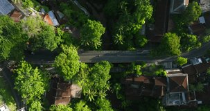 Drone view of Bali, Indonesia. Ubud road. Top view