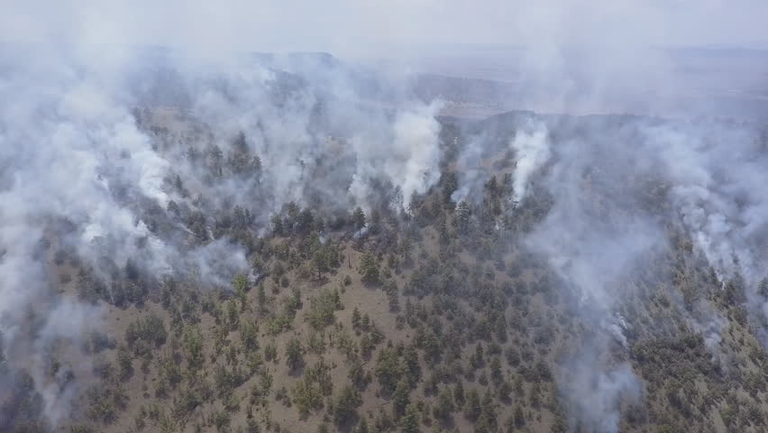 Aerial view of a smoky forest in southeastern North Carolina.