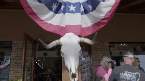 This video shows a taxidermy bull skull displayed next to an American flag banner.