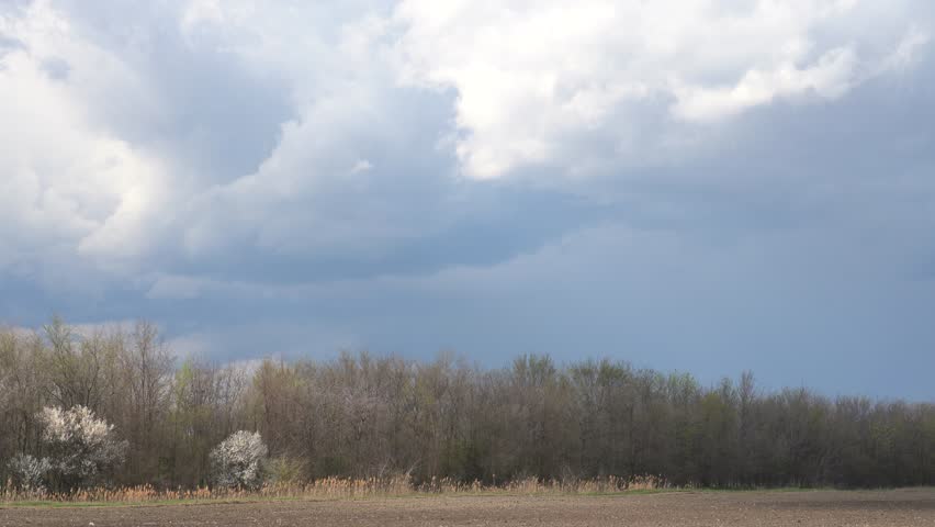 landscape with a forest and clouds