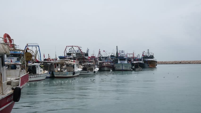 Fishing boats, Anchored ships, birds and seagulls in the harbor in winter