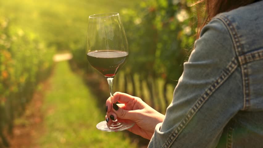 Woman drinking wine in in wineyard garden. Sommelier tasting red white wine. Close up of female hand swirling the glass to make the wine spinning. Royalty-Free Stock Footage #1101817569