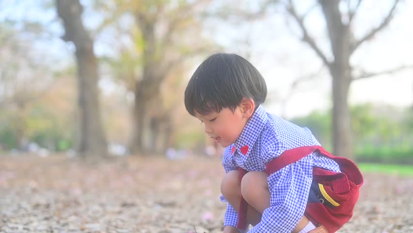 Asian boy throws dry autumn leaves up over his head,happy little kid nature outdoors