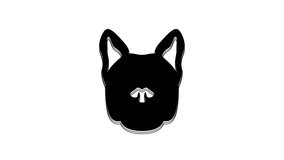 Black Dog icon isolated on white background. 4K Video motion graphic animation.