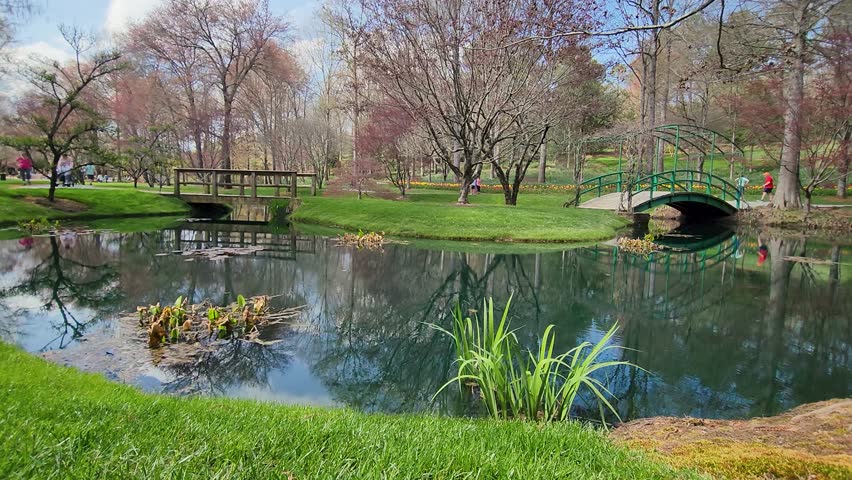 panning footage of a lake with an arched bridge over the water and lush green grass, colorful flowers, red trees and people walking with blue sky and clouds at Gibbs Gardens in Ball Ground Georgia USA